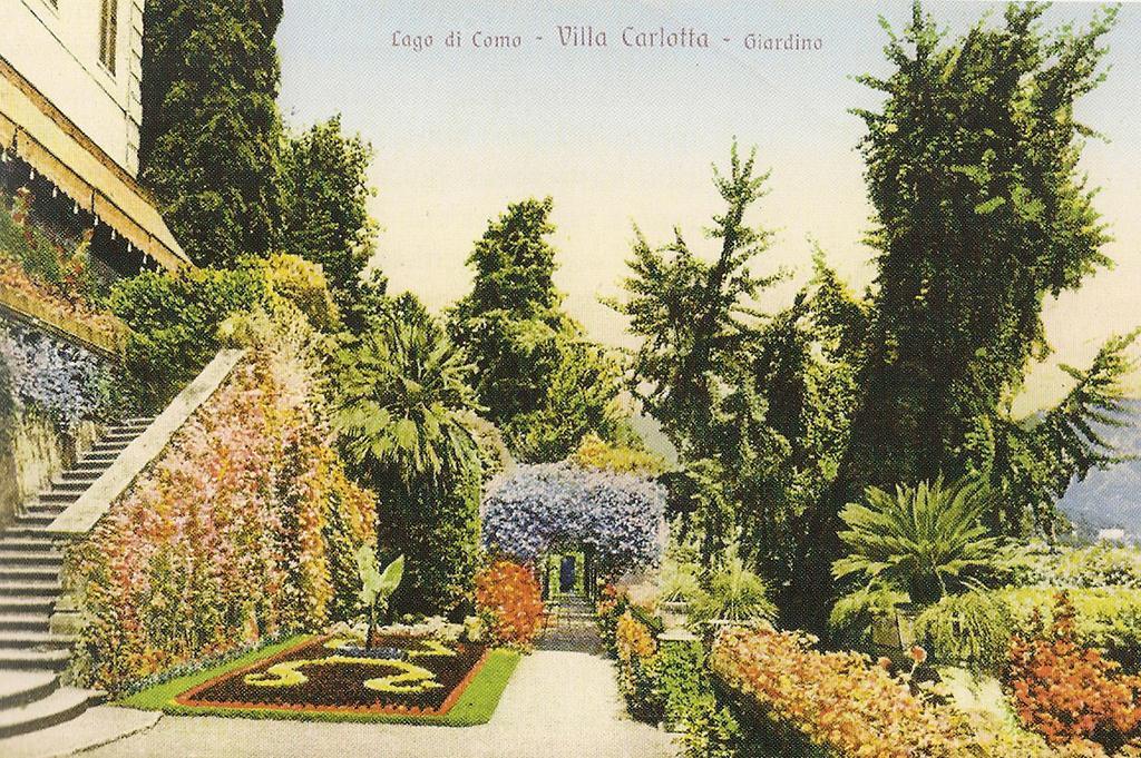 Victoria Hotels Carso Camnago Volta ภายนอก รูปภาพ